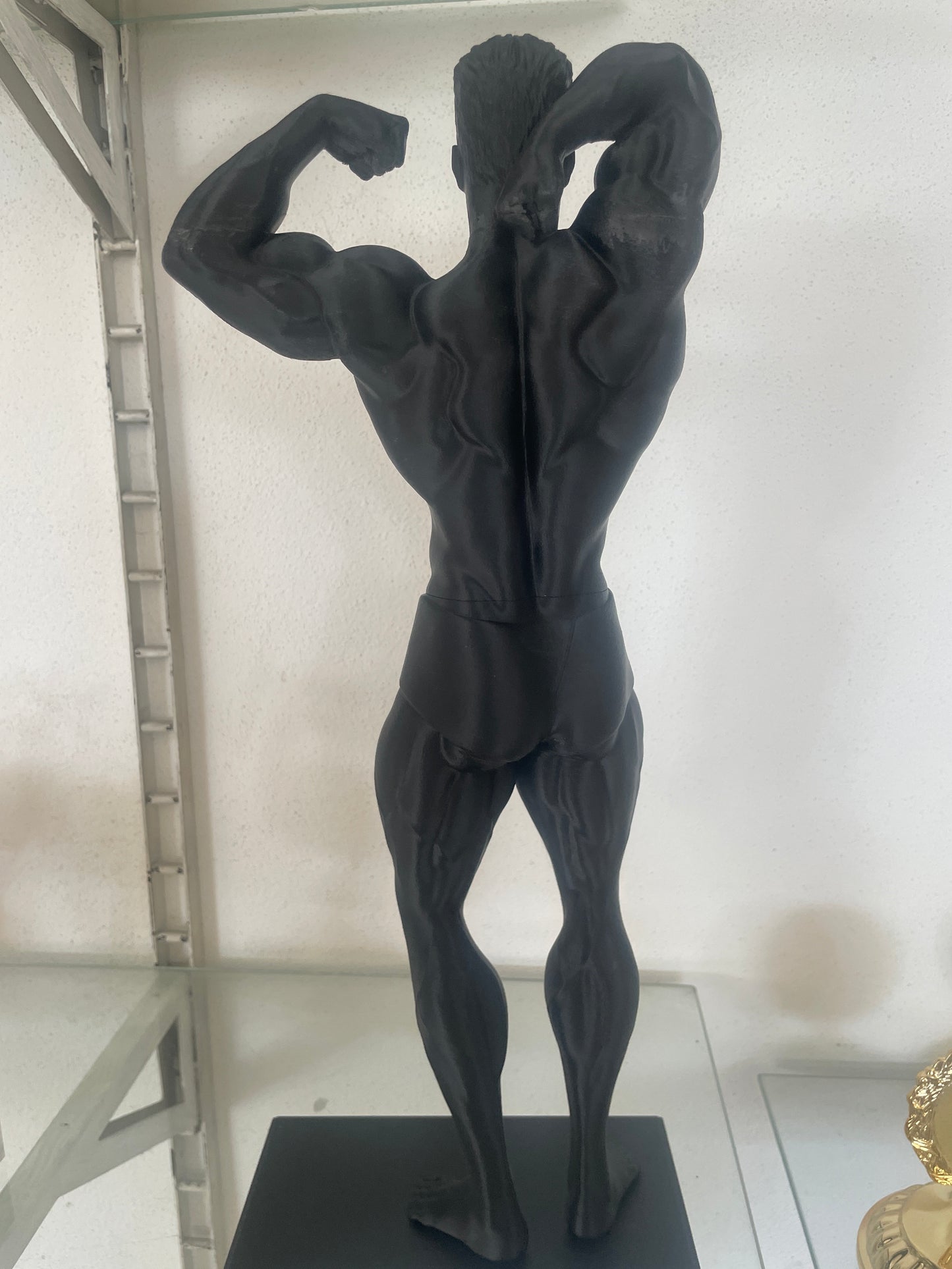 Pugile,BodyBuilder,MuayThai, Men Physique 3D