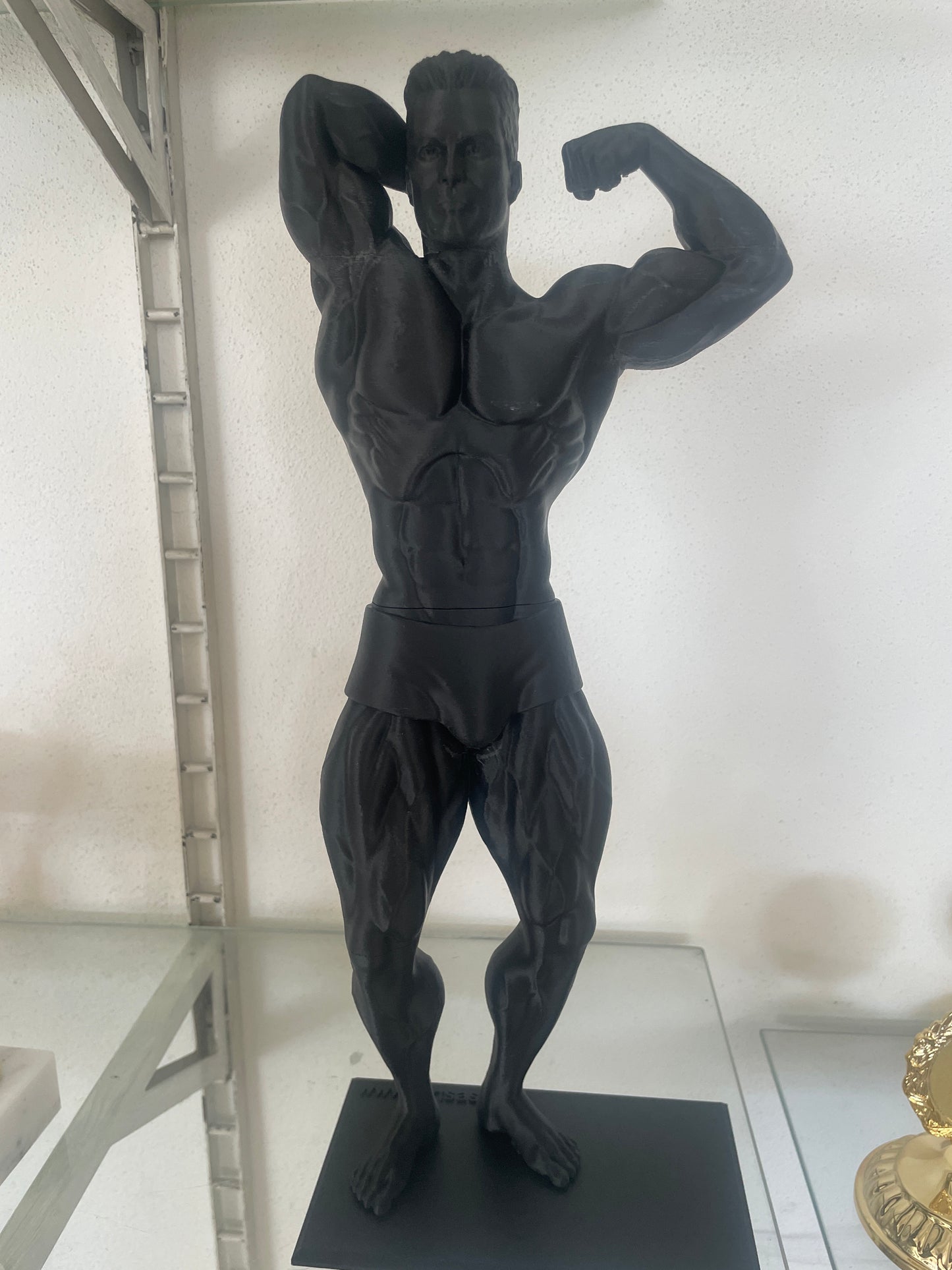 Pugile,BodyBuilder,MuayThai, Men Physique 3D