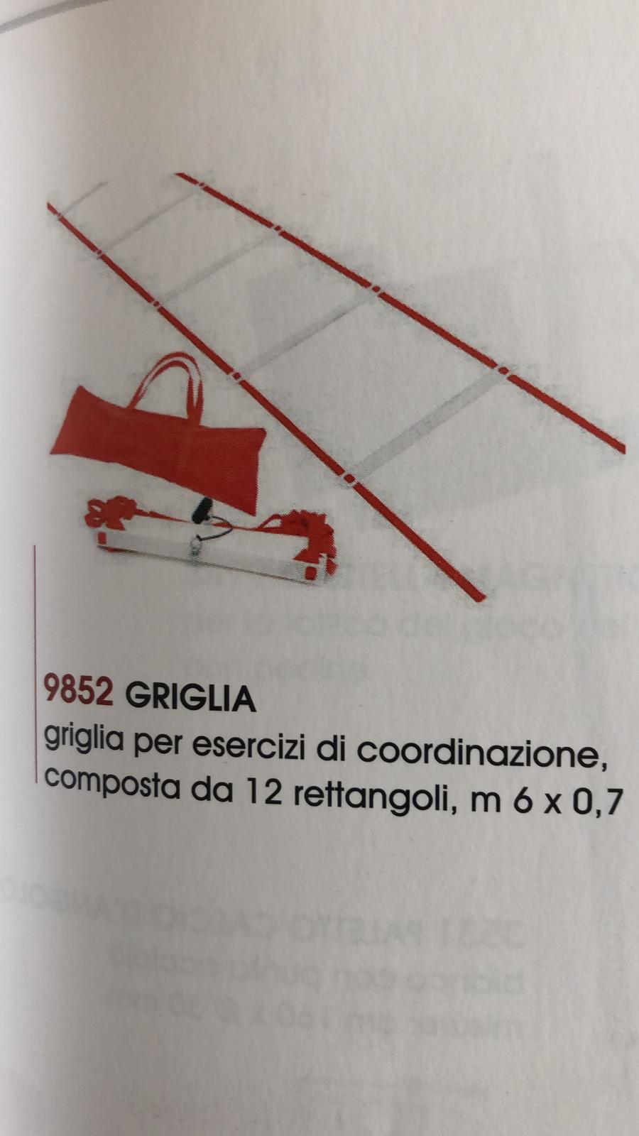 Scaletta con 12 rettangoli