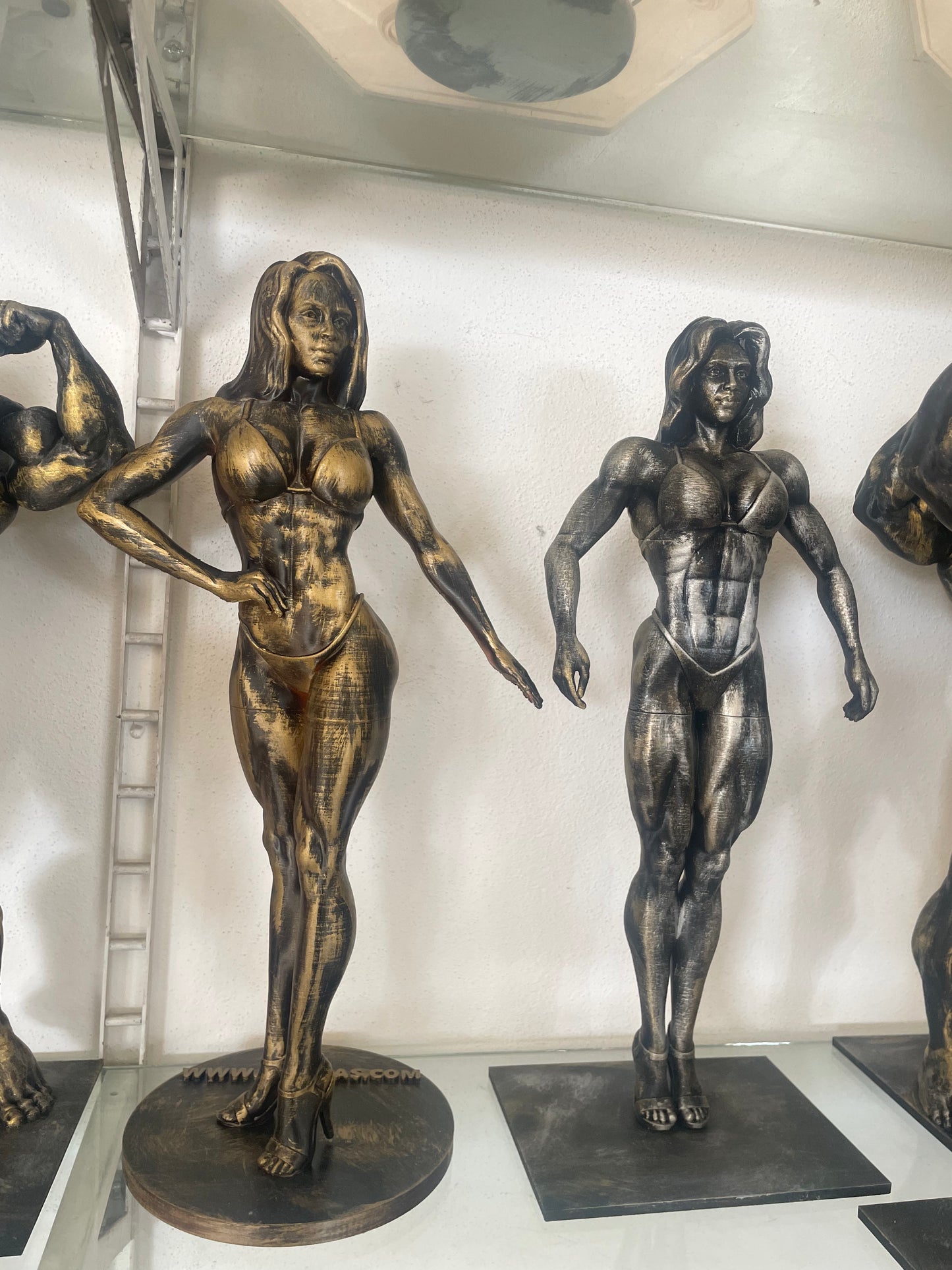 Pugile o BodyBuilder 3D