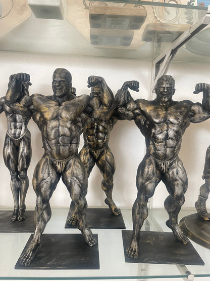 Pugile o BodyBuilder 3D